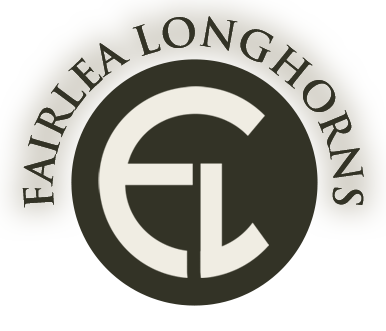 Fairlea Longhorns logo